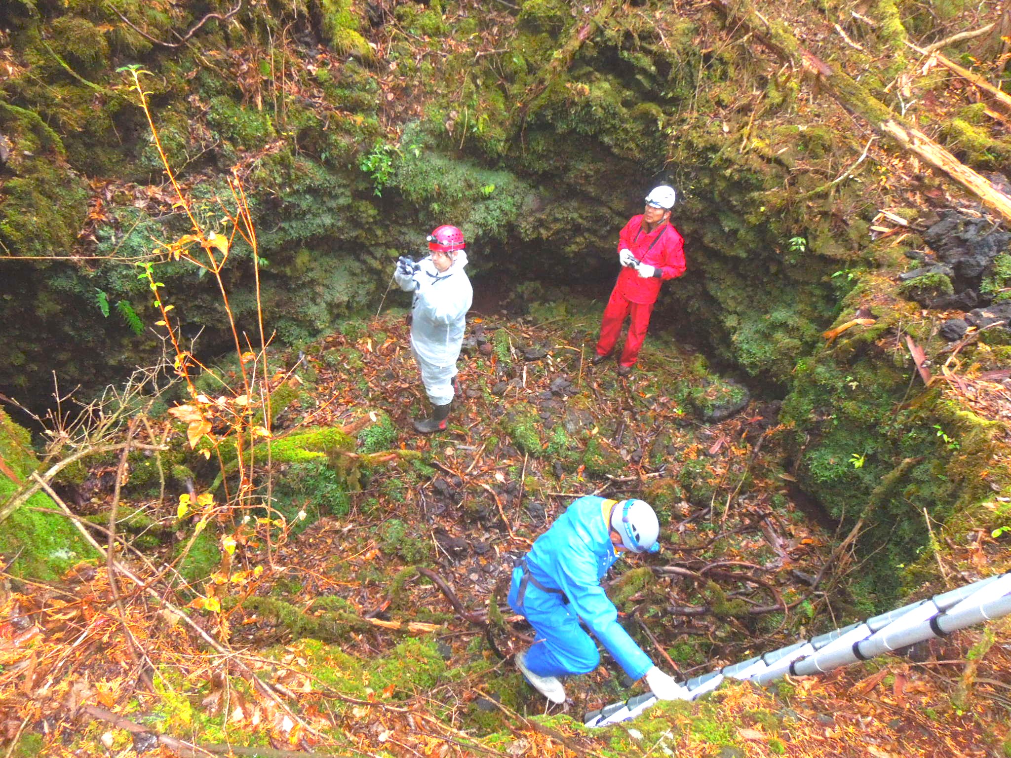 世界最大の縦型溶岩樹型を発見 文京区の地域活動情報サイト どっとフミコム 世界最大の縦型溶岩樹型を発見 文京区の地域活動情報サイト どっとフミコム