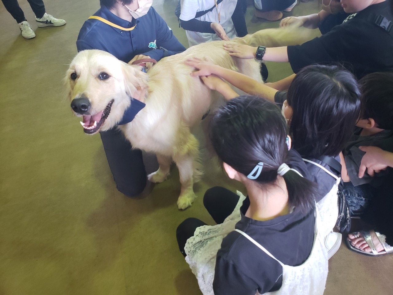 盲導犬を優しく撫でる子どもたち。